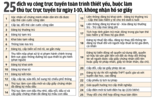 25 dịch vụ công thiết yếu bắt buộc nộp hồ sơ online