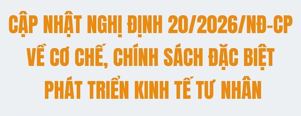 nghị định 20 2026